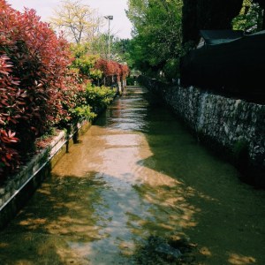 Processed with VSCOcam with c1 preset