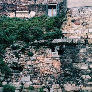 Processed with VSCOcam with c1 preset