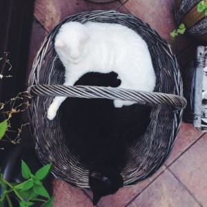 Processed with VSCOcam with f2 preset